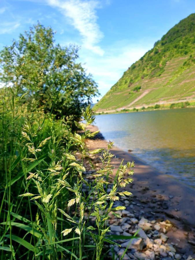 Ferienwohnung Ambiente II Und III Klotten Bagian luar foto